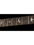SE Custom 24 (Black Gold Burst), зображення 8